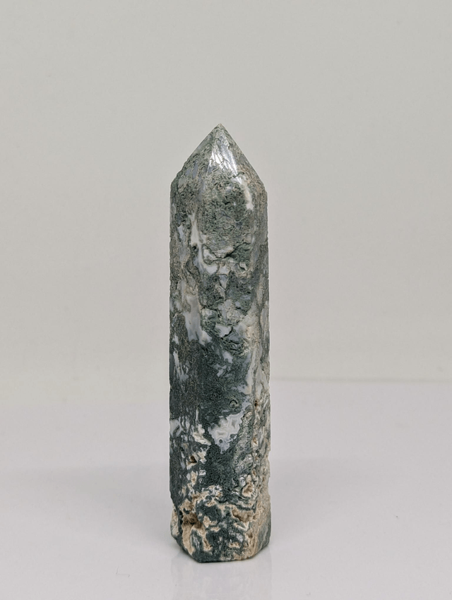 240 Agate Arbre 83gr