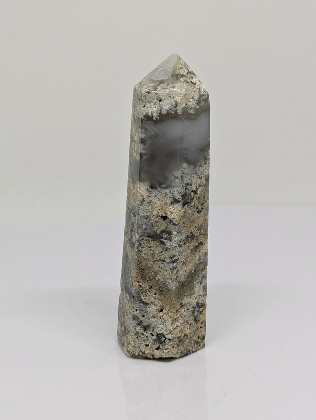  239 Agate Arbre 92gr 
