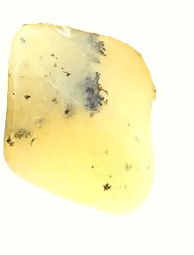 Opale Dendritique Jaune Extra