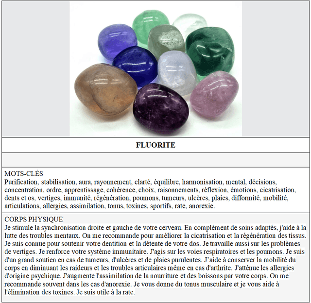 003 Fluorite crâne 663gr