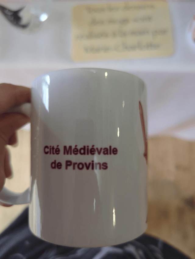 M071 chevalier armure cité médiévale Provins