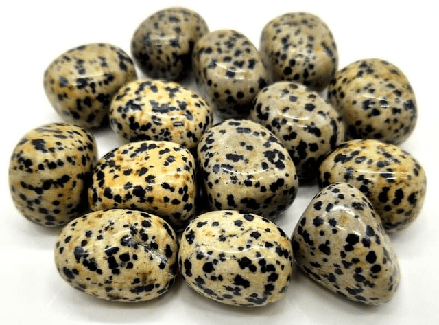 Jaspe Dalmatien Extra