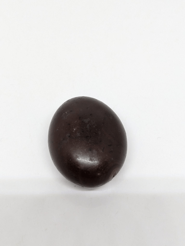 261 Opale Chocolat 20gr 