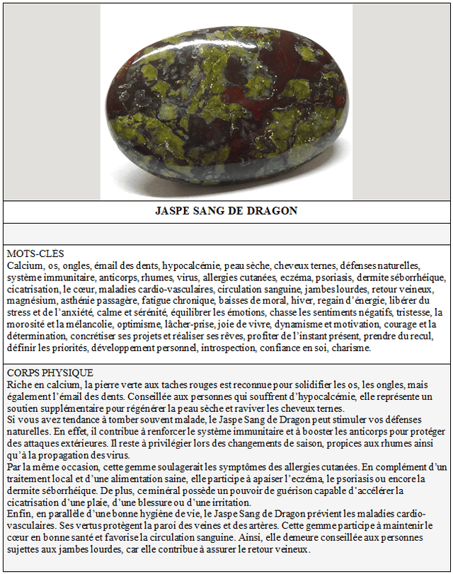 005 Jaspe sang de Dragon Crâne 327gr