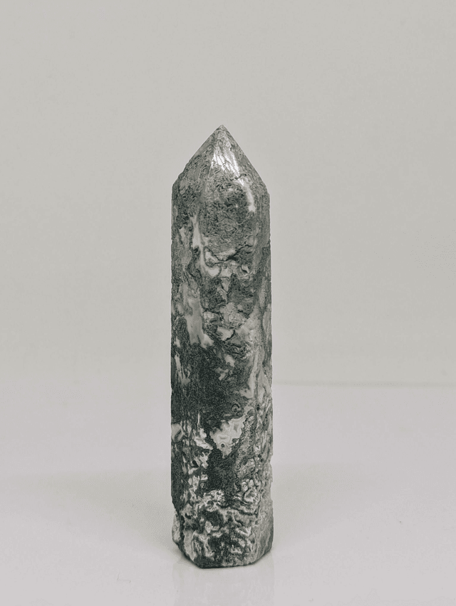 240 Agate Arbre 83gr