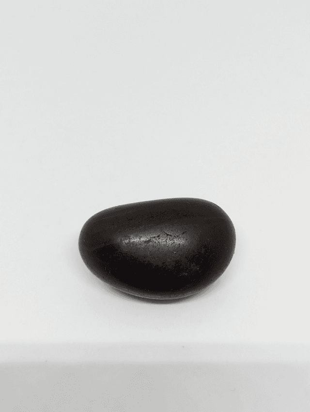 264 Opale Chocolat 20gr