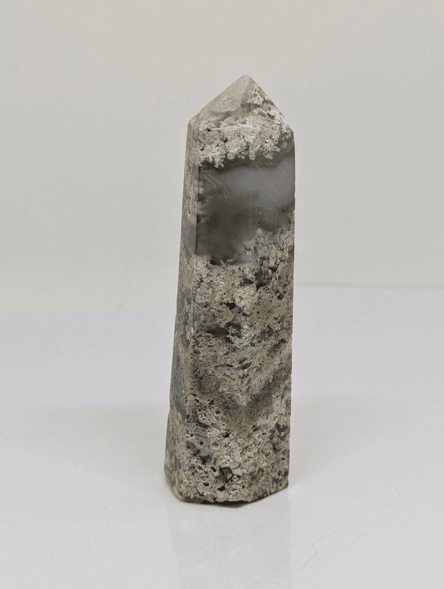  239 Agate Arbre 92gr 