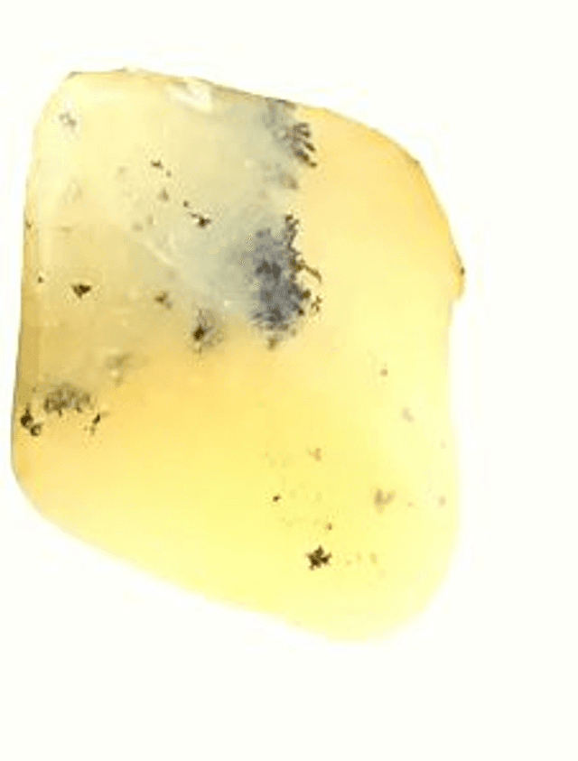 Opale Dendritique Jaune Extra