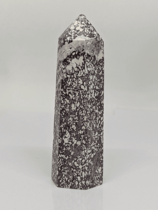 286 Jaspe Léopard 131gr