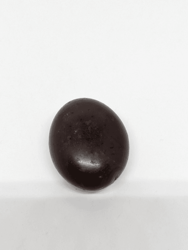 261 Opale Chocolat 20gr 