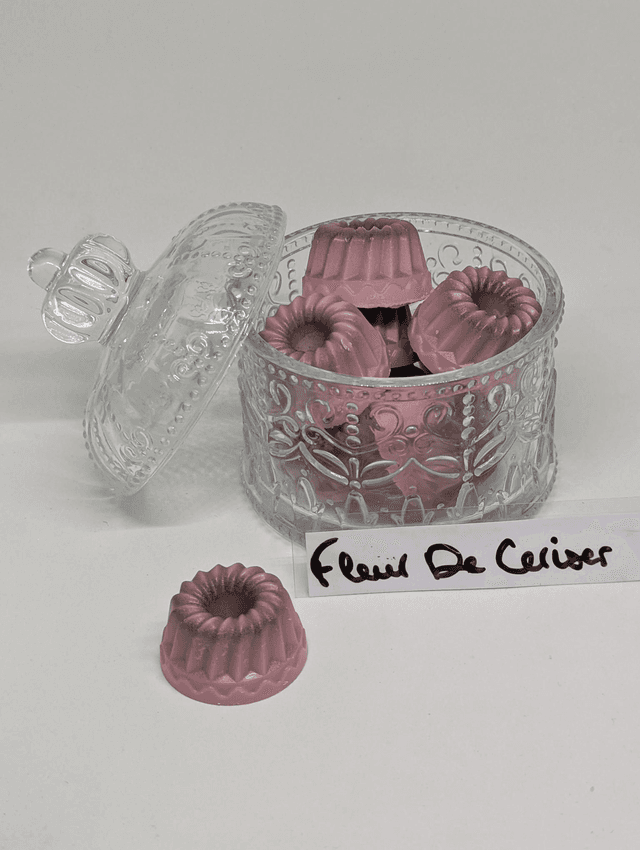 Fleur de cerisier 